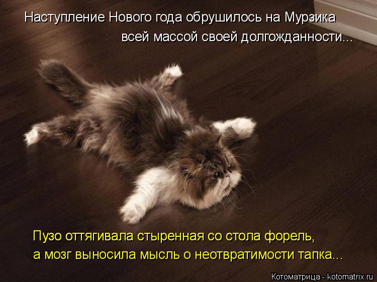 Котоматрица: Наступление Нового года обрушилось на Мурзика всей массой своей долгожданности... Пузо оттягивала стыренная со стола форель, Пузо оттягива