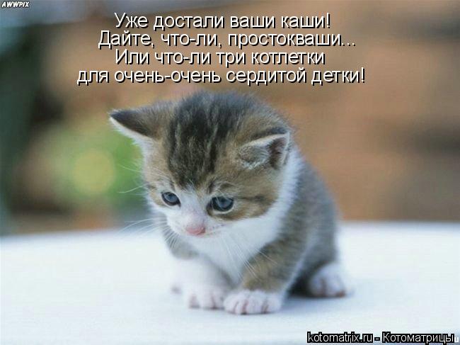 Котоматрица: Уже достали ваши каши! Дайте, что-ли, простокваши... Или что-ли три котлетки для очень-очень сердитой детки!