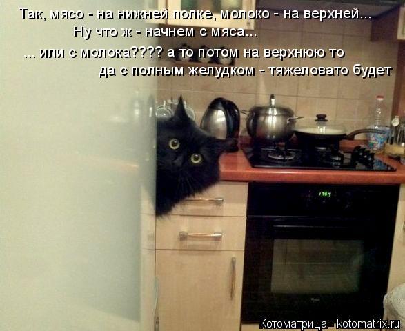 Котоматрица: Так, мясо - на нижней полке, молоко - на верхней... Ну что ж - начнем с мяса... ... или с молока???? а то потом на верхнюю то  да с полным желудком - тяж