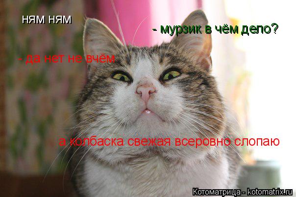 Котоматрица: ням ням - мурзик в чём дело? - да нет не вчём а колбаска свежая всеровно слопаю