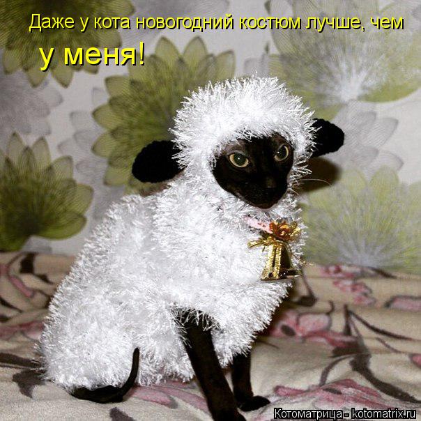 Котоматрица: Даже у кота новогодний костюм лучше, чем  у меня!