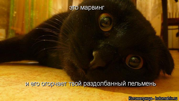 это марвинг и его огорчает твой раздолбанный пельмень... Котоматрица: это марвинг и его огорчает твой раздолбанный пельмень