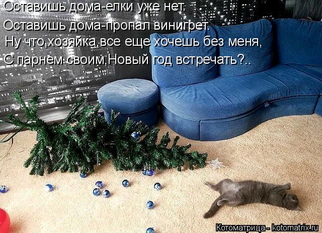 Котоматрица: Оставишь дома-елки уже нет. Оставишь дома-пропал винигрет. Ну что,хозяйка,все еще хочешь без меня, С парнем своим,Новый год встречать?..