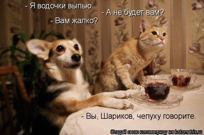 Котоматрица: - Я водочки выпью.    - А не будет вам?  - Вам жалко?  - Вы, Шариков, чепуху говорите.