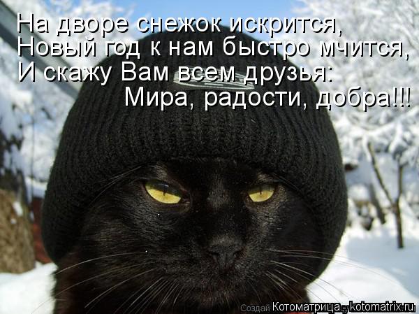 На дворе снежок искрится, Новый год к нам быстро мчится, И скажу Вам всем друзья: Мира, радости, добр... Котоматрица: На дворе снежок искрится, Новый год к нам быстро мчится, И скажу Вам всем друзья: Мира, радости, добра!!!