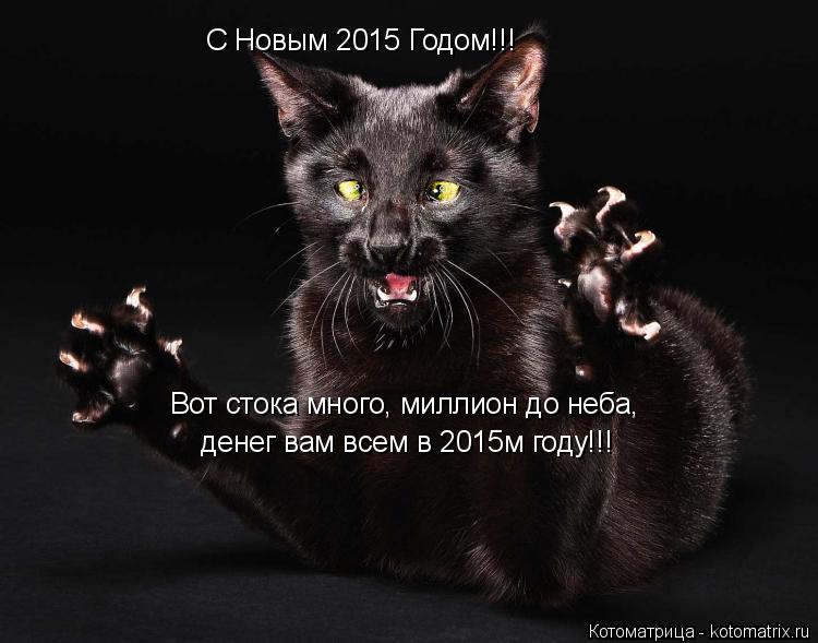 Котоматрица: С Новым 2015 Годом!!! Вот стока много, миллион до неба,  денег вам всем в 2015м году!!!