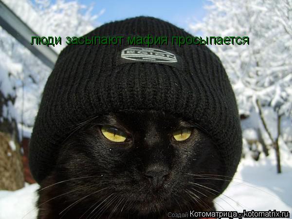 Котоматрица: люди засыпают мафия просыпается