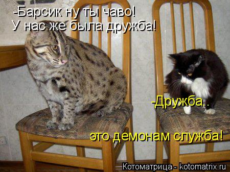 Котоматрица: -Барсик ну ты чаво! У нас же была дружба! -Дружба.. это демонам служба!