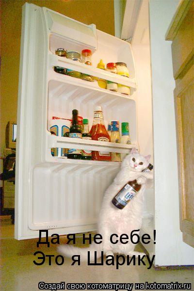 Котоматрица: Да я не себе!  Это я Шарику