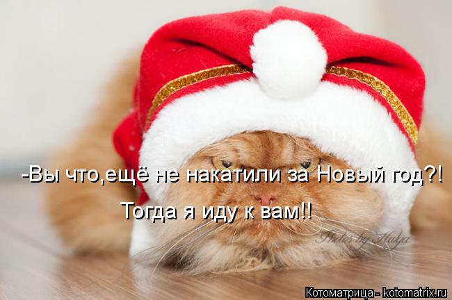 Котоматрица: -Вы что,ещё не накатили за Новый год?!  Тогда я иду к вам!!
