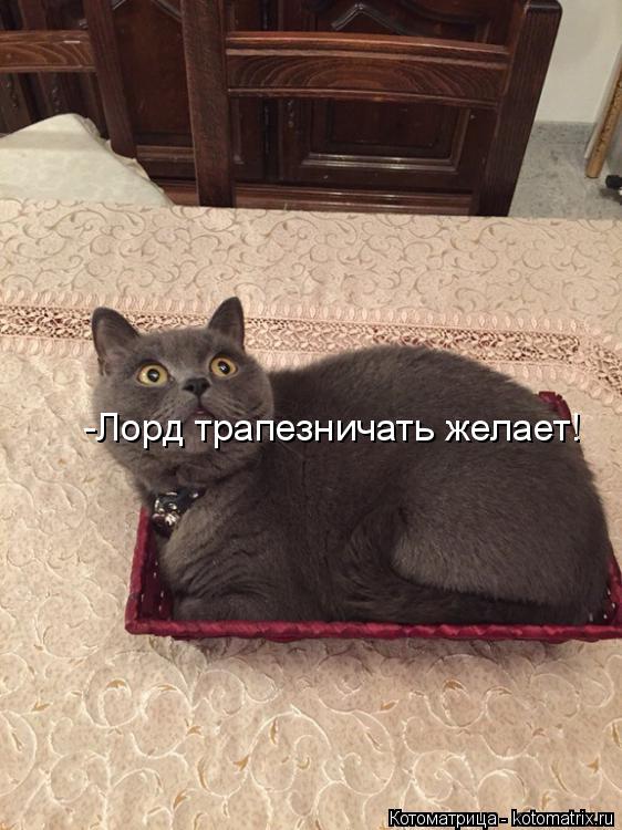 -Лорд трапезничать желает!... Котоматрица: -Лорд трапезничать желает!