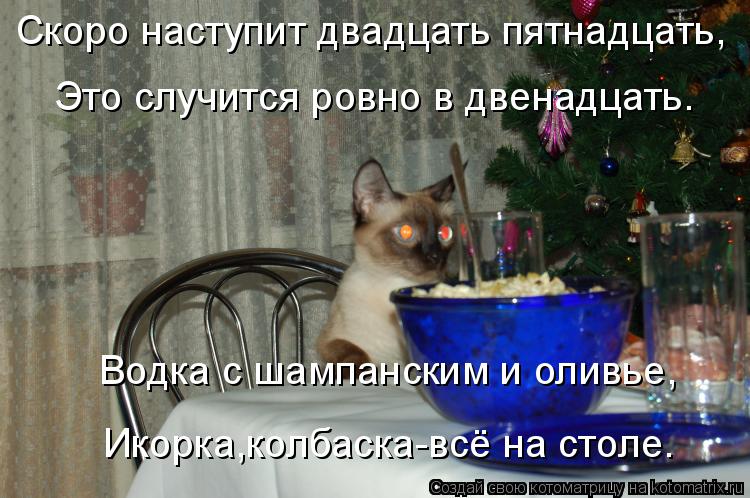 Котоматрица: Скоро наступит двадцать пятнадцать, Это случится ровно в двенадцать. Водка с шампанским и оливье, Икорка,колбаска-всё на столе.