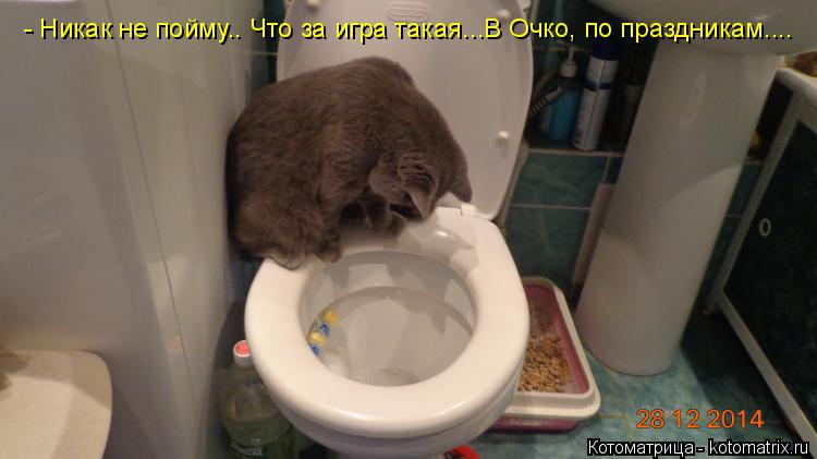 - Никак не пойму.. Что за игра такая...В Очко, по праздникам....... Котоматрица: - Никак не пойму.. Что за игра такая...В Очко, по праздникам....