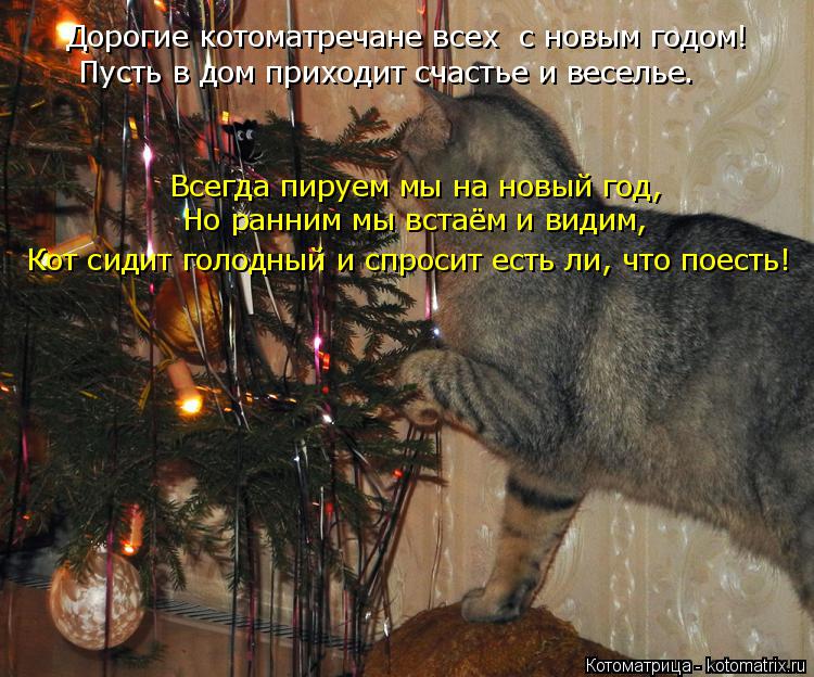 Котоматрица: Дорогие котоматречане всех  с новым годом! Пусть в дом приходит счастье и веселье. Всегда пируем мы на новый год, Но ранним мы встаём и видим,