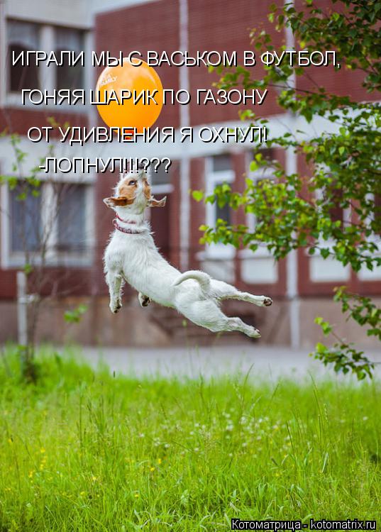 Котоматрица: ИГРАЛИ МЫ С ВАСЬКОМ В ФУТБОЛ, ИГРАЛИ МЫ С ВАСЬКОМ В ФУТБОЛ, ГОНЯЯ ШАРИК ПО ГАЗОНУ ОТ УДИВЛЕНИЯ Я ОХНУЛ! -ЛОПНУЛ!!!???