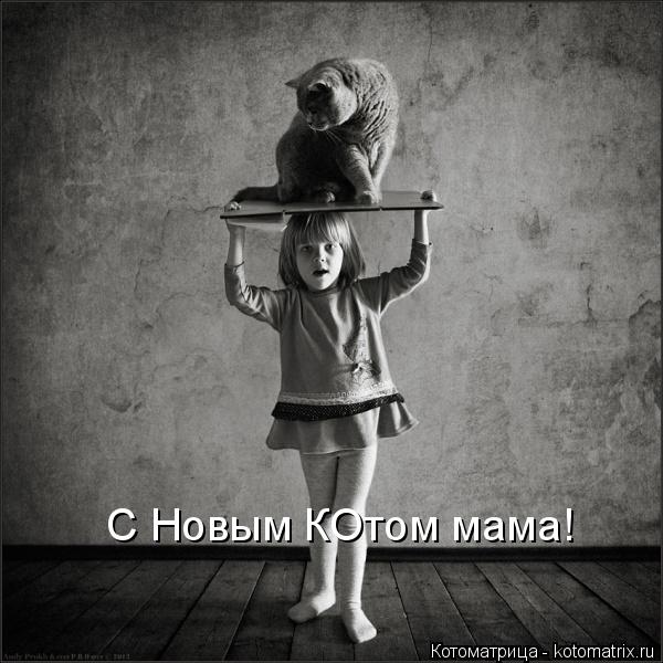 Котоматрица: С Новым КОтом мама!