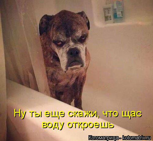 Котоматрица: Ну ты еще скажи, что щас воду откроешь