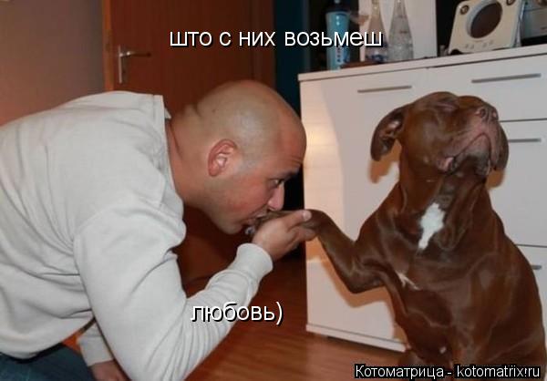 што с них возьмеш любовь) любовь)... Котоматрица: што с них возьмеш любовь) любовь)