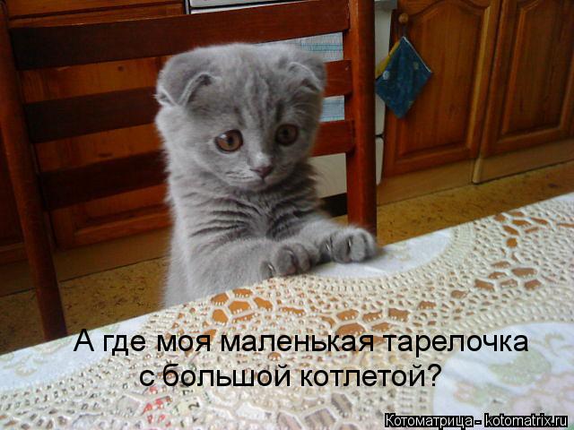 Котоматрица: А где моя маленькая тарелочка  с большой котлетой?