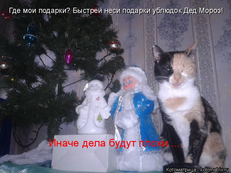 Котоматрица: Где мои подарки? Быстрей неси подарки ублюдок Дед Мороз! Иначе дела будут плохи.....