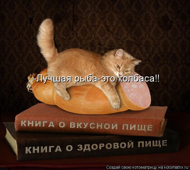 -Лучшая рыба-это колбаса!!... Котоматрица: -Лучшая рыба-это колбаса!!