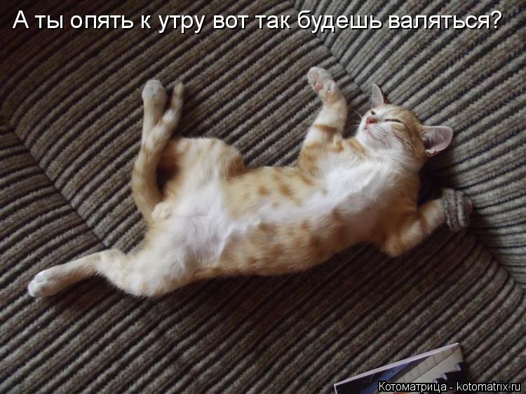 Котоматрица: А ты опять к утру вот так будешь валяться?