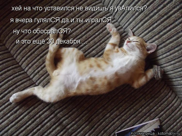хей на что уставился не видишь я увАлился? я вчера гулялСЯ да и ты игралСЯ ну что обосралСЯ? и это ещ... Котоматрица: хей на что уставился не видишь я увАлился? я вчера гулялСЯ да и ты игралСЯ ну что обосралСЯ? и это ещё 30 декабря.....