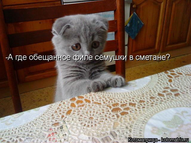 -А где обещанное филе сёмушки в сметане?... Котоматрица: -А где обещанное филе сёмушки в сметане?