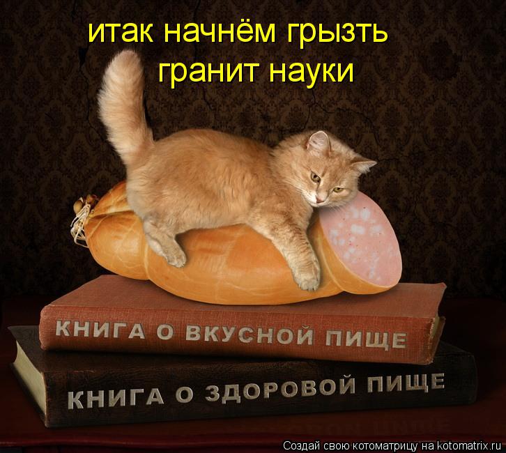 Котоматрица: итак начнём грызть гранит науки