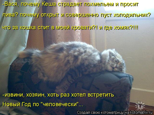-Вася, почему Кеша страдает похмельем и просит пива? почему открыт и совершенно пуст холодильник? что... Котоматрица: -Вася, почему Кеша страдает похмельем и просит пива? почему открыт и совершенно пуст холодильник? что за кошка спит в моей кровати?! и где хом