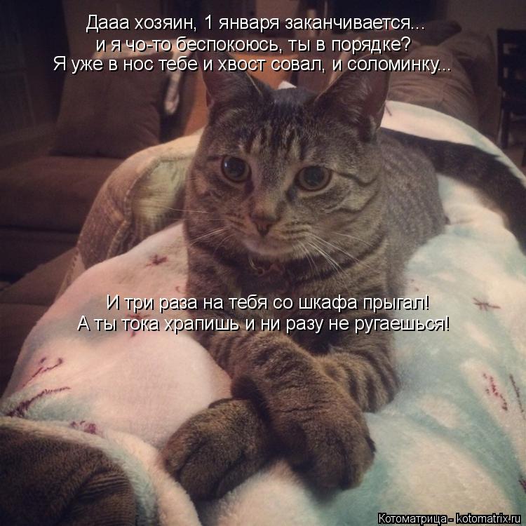 Дааа хозяин, 1 января заканчивается... и я чо-то беспокоюсь, ты в порядке? Я уже в нос тебе и хвост ... Котоматрица: Дааа хозяин, 1 января заканчивается... и я чо-то беспокоюсь, ты в порядке? Я уже в нос тебе и хвост совал, и соломинку... И три раза на тебя со шка