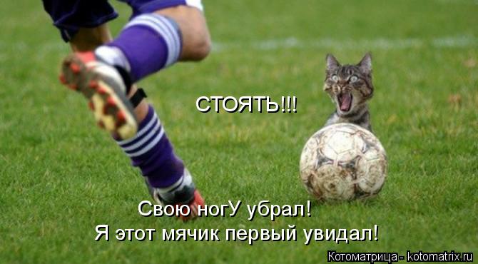 Я этот мячик первый увидал! СТОЯТЬ!!! Свою ногУ убрал!... Котоматрица: Я этот мячик первый увидал! СТОЯТЬ!!! Свою ногУ убрал!