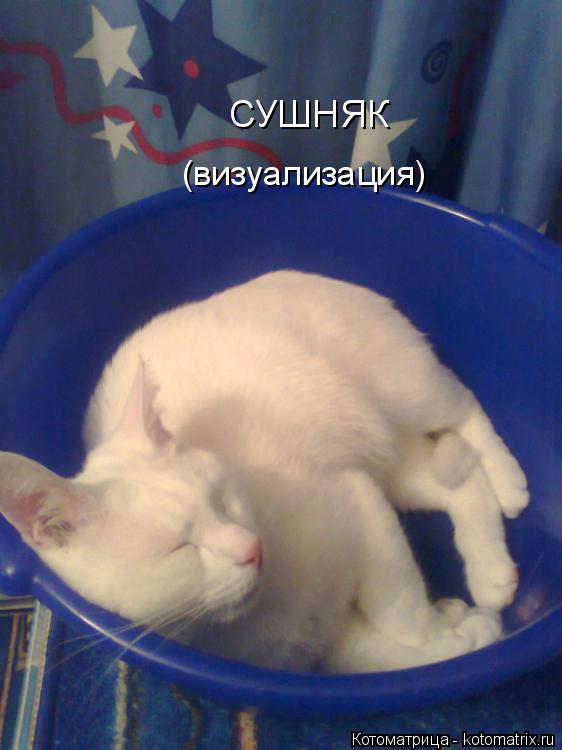 (визуализация) СУШНЯК... Котоматрица: (визуализация) СУШНЯК