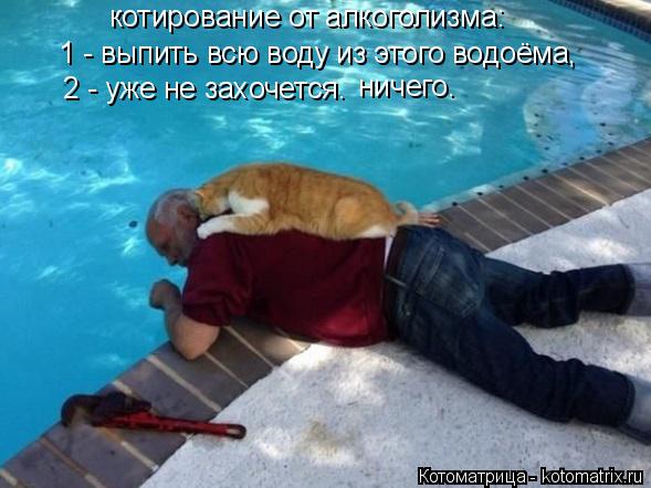 Котоматрица: котирование от алкоголизма: 1 - выпить всю воду из этого водоёма, 2 - уже не захочется. ничего.