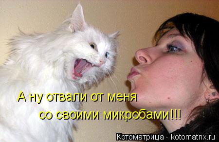 Котоматрица: А ну отвали от меня со своими микробами!!!