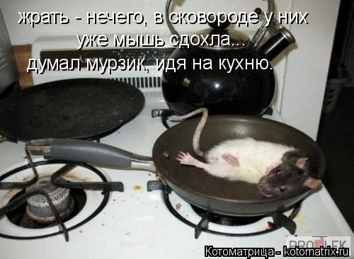 Котоматрица: жрать - нечего, в сковороде у них  уже мышь сдохла... думал мурзик, идя на кухню.