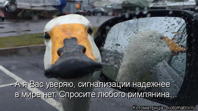- А я Вас уверяю, сигнализации надежнее в мире нет. Спросите любого римлянина…... Котоматрица: - А я Вас уверяю, сигнализации надежнее в мире нет. Спросите любого римлянина…