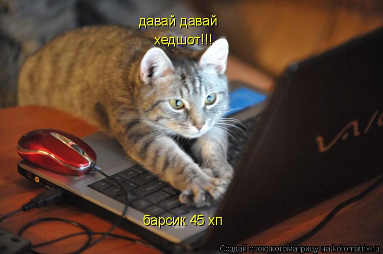 Котоматрица: давай давай  барсик  барсик 45 хп хедшот!!!