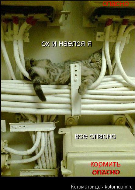 ох и наелся я кормить опасно опасно все опасно... Котоматрица: ох и наелся я кормить опасно опасно все опасно