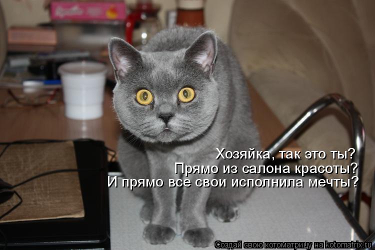 Прямо из салона красоты? И прямо все свои исполнила мечты? Хозяйка, так это ты?... Котоматрица: Прямо из салона красоты? И прямо все свои исполнила мечты? Хозяйка, так это ты?