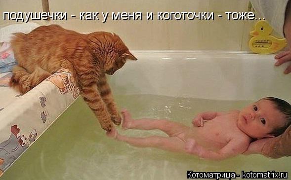 Котоматрица: подушечки - как у меня и коготочки - тоже...
