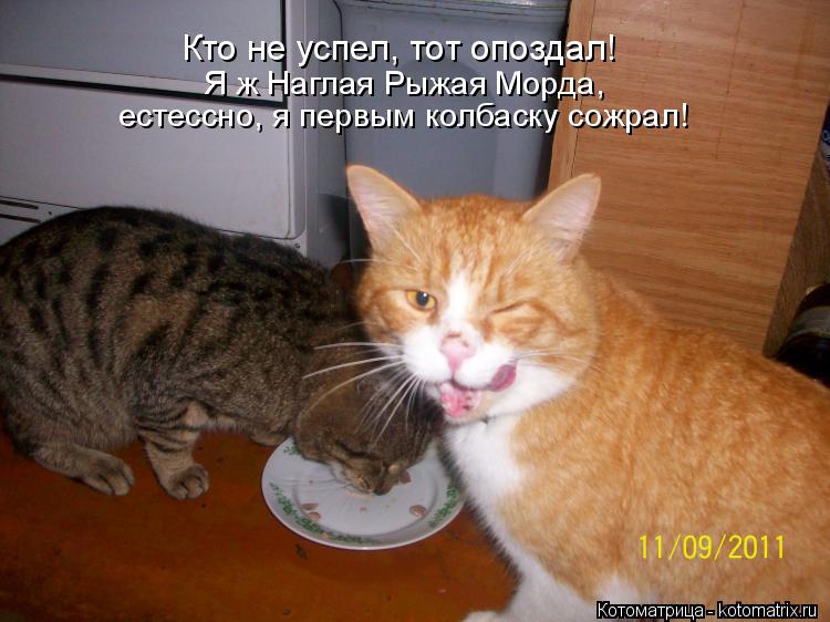 Кто не успел, тот опоздал! Я ж Наглая Рыжая Морда, естессно, я первым колбаску сожрал!... Котоматрица: Кто не успел, тот опоздал! Я ж Наглая Рыжая Морда, естессно, я первым колбаску сожрал!