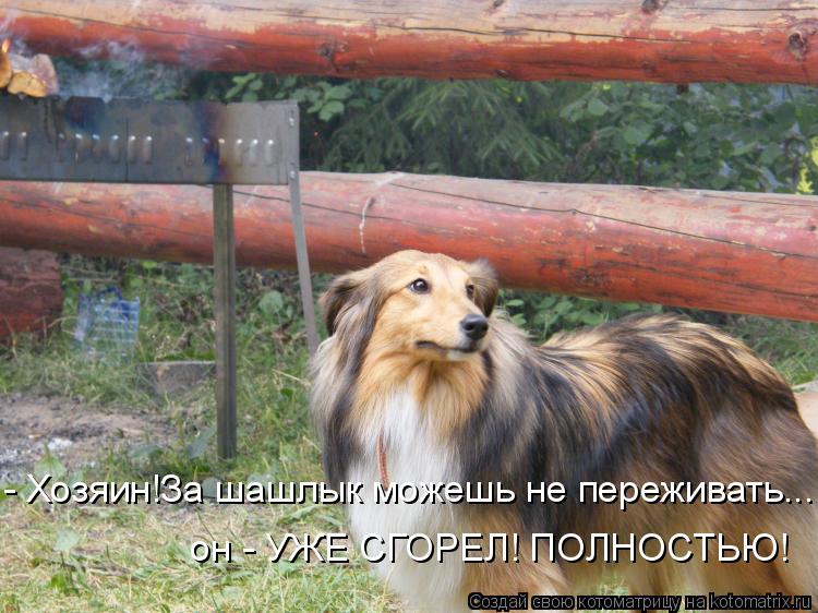 - Хозяин!За шашлык можешь не переживать.... он - УЖЕ СГОРЕЛ! ПОЛНОСТЬЮ!... Котоматрица: - Хозяин!За шашлык можешь не переживать.... он - УЖЕ СГОРЕЛ! ПОЛНОСТЬЮ!