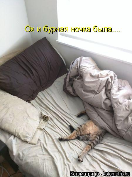 Ох и бурная ночка была....... Котоматрица: Ох и бурная ночка была....