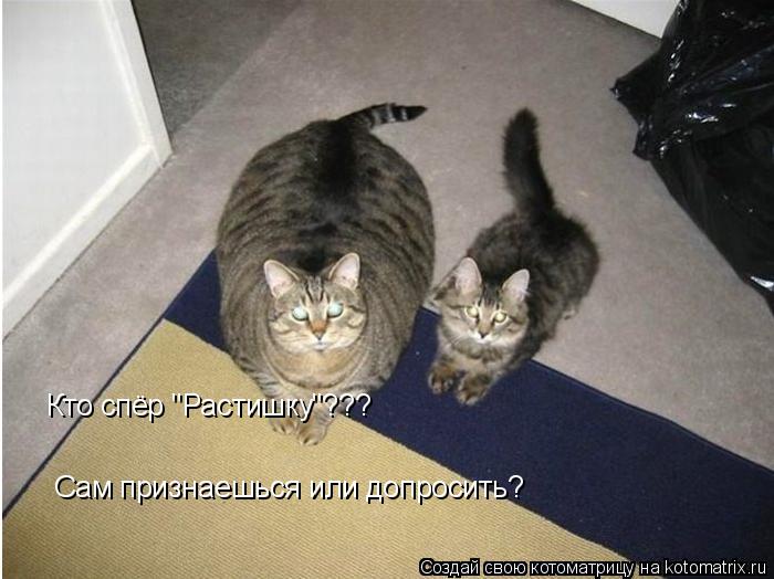Кто спёр "Растишку"??? Сам признаешься или допросить?... Котоматрица: Кто спёр "Растишку"??? Сам признаешься или допросить?