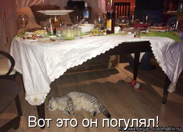 Вот это он погулял!... Котоматрица: Вот это он погулял!