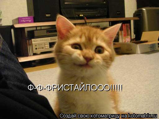 Ф-Ф-ФРИСТАЙЛООО!!!!!... Котоматрица: Ф-Ф-ФРИСТАЙЛООО!!!!!