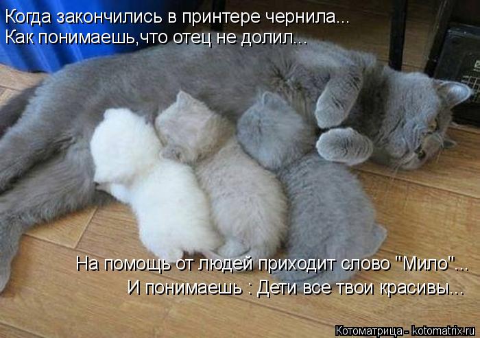 Котоматрица: Когда закончились в принтере чернила... Как понимаешь,что отец не долил... На помощь от людей приходит слово "Мило"... И понимаешь : Дети все тво