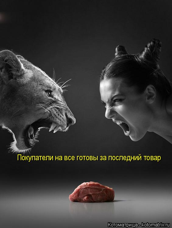 Покупатели на все готовы за последний товар... Котоматрица: Покупатели на все готовы за последний товар