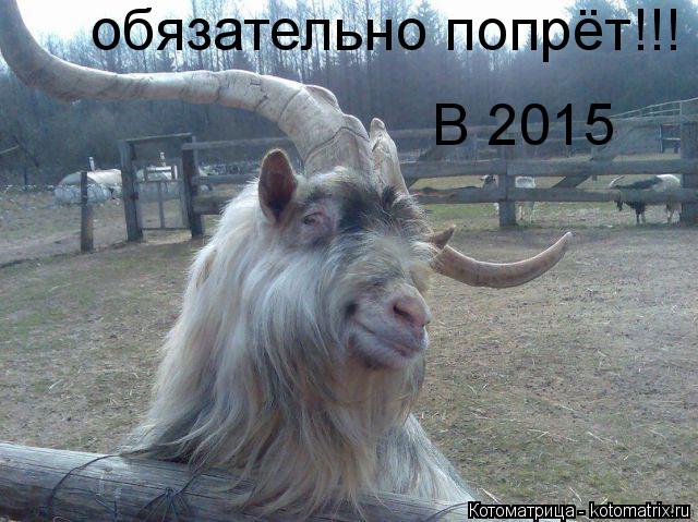 обязательно попрёт!!! В 2015... Котоматрица: обязательно попрёт!!! В 2015